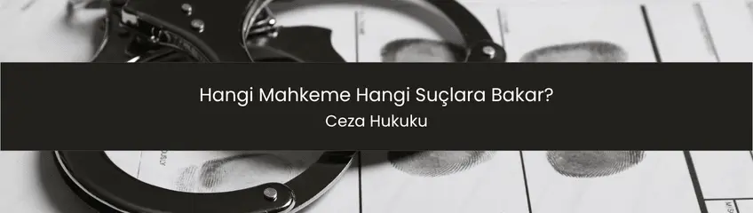 Ankara'da hangi ceza mahkemesinin hangi suça baktığını açıklayan görsel